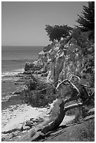 Coastal bluff. Santa Barbara, California, USA ( black and white)
