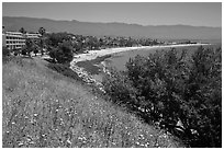 Hillside and waterfront. Santa Barbara, California, USA (black and white)