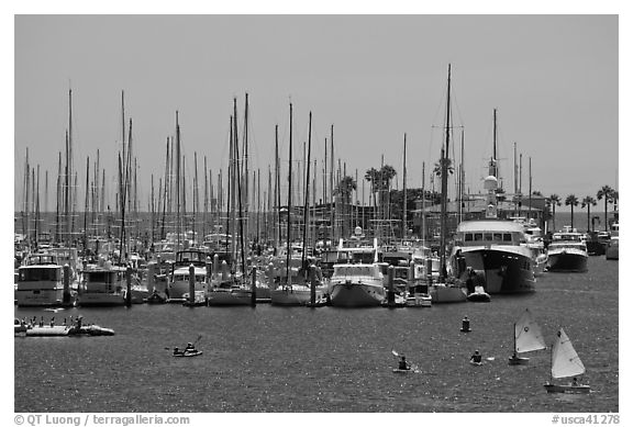 Santa Barbara Harbor. Santa Barbara, California, USA (black and white)