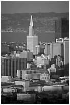 City Hall and Transamerica Pyramid, late afternoon. San Francisco, California, USA ( black and white)