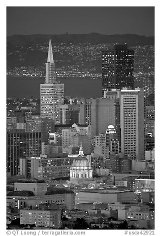 City Hall and Transamerica Pyramid at night. San Francisco, California, USA (black and white)