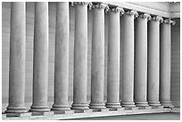 Row of columns, Legion of Honor, early morning, Lincoln Park. San Francisco, California, USA (black and white)