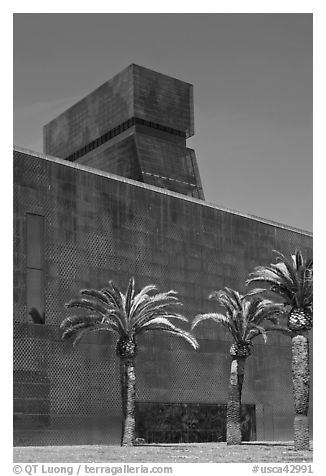 Hamon Tower and M H De Young memorial museum. San Francisco, California, USA (black and white)