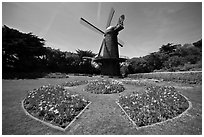 Spring flowers and old Dutch windmill, Golden Gate Park. San Francisco, California, USA (black and white)