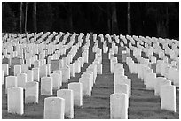 Rows of headstones, San Francisco National Cemetery, Presidio. San Francisco, California, USA (black and white)