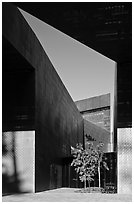 Opening, De Young Museum. San Francisco, California, USA ( black and white)