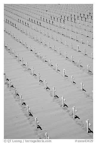 Arlington West memorial crosses. Santa Monica, Los Angeles, California, USA (black and white)