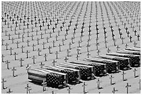 Flag draped coffins and crosses, Santa Monica beach. Santa Monica, Los Angeles, California, USA ( black and white)