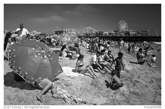 Beach unbrellas and Santa Monica Pier. Santa Monica, Los Angeles, California, USA (black and white)