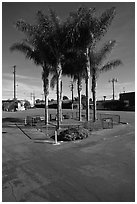 Tiny fenced park, Bergamot Station arts center. Santa Monica, Los Angeles, California, USA ( black and white)
