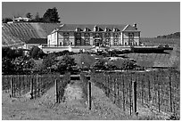 Vineyard and chateau style winery in spring. Napa Valley, California, USA (black and white)