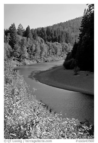 Eel River near Avenue of the Giants. California, USA (black and white)