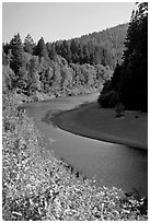Eel River near Avenue of the Giants. California, USA ( black and white)