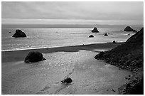 Shimmering ocean and river separated by sliver of sand, Jenner. Sonoma Coast, California, USA (black and white)