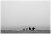 Sitting in front of foggy ocean, Manchester State Park. California, USA ( black and white)
