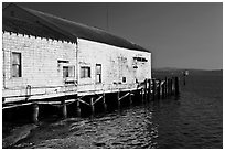 Wharf building, Bodega Bay. Sonoma Coast, California, USA (black and white)