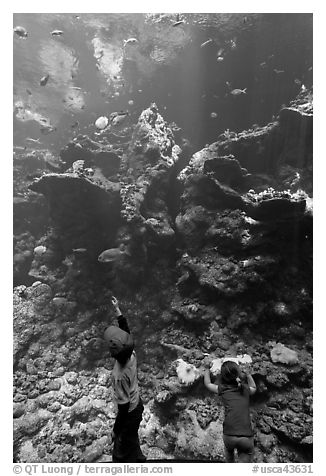 Children in front of Coral Reef tank, Steinhart Aquarium, California Academy of Sciences. San Francisco, California, USA (black and white)