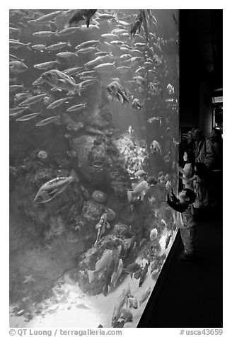 School of fish and children, Steinhart Aquarium, California Academy of Sciences. San Francisco, California, USA (black and white)