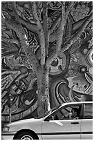 Man smoking in car, tree, and mural, Mission District. San Francisco, California, USA ( black and white)