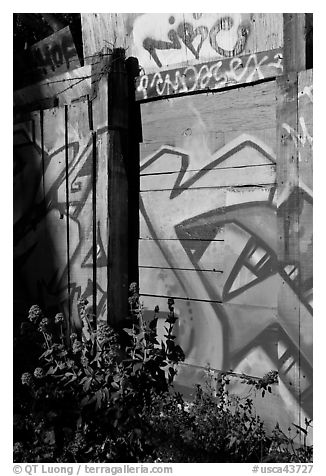 Flowers and painted wall, Mission District. San Francisco, California, USA (black and white)
