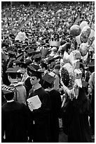 Graduating students celebrating commencement. Stanford University, California, USA ( black and white)