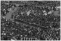 Large gathering of students in academic dress at graduation ceremony. Stanford University, California, USA (black and white)