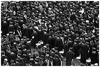 Rows of graduates in academic costume. Stanford University, California, USA (black and white)