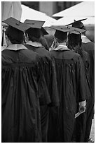 Graduates with robes and square caps seen from behind. Stanford University, California, USA (black and white)