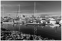 Alameda marina and Oakland skyline. Oakland, California, USA ( black and white)