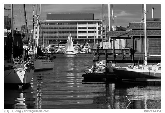 Yachts and houseboats, Alameda. Oakland, California, USA (black and white)