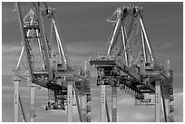 Container cranes, Port of Oakland. Oakland, California, USA (black and white)