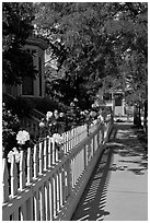 Manicured frontyard with flowers, Preservation Park. Oakland, California, USA (black and white)