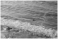 Surfers departing the beach towards the break. Half Moon Bay, California, USA ( black and white)