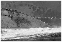 Bluff with spectators as seen from the ocean. Half Moon Bay, California, USA (black and white)