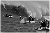Surfer on big surf and observers. Half Moon Bay, California, USA ( black and white)