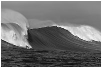 Surfing big wave at the Mavericks. Half Moon Bay, California, USA ( black and white)