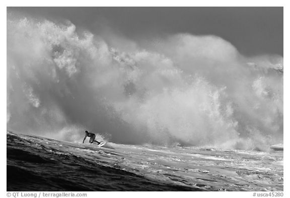 Surfer in Mavericks break. Half Moon Bay, California, USA (black and white)