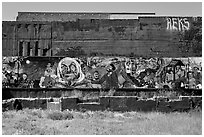 Political mural art. Berkeley, California, USA ( black and white)