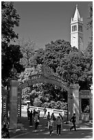 Sather Gate and Campanile, UC Berkeley. Berkeley, California, USA ( black and white)