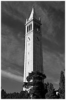 Campanile Tower, University of California at Berkeley. Berkeley, California, USA ( black and white)