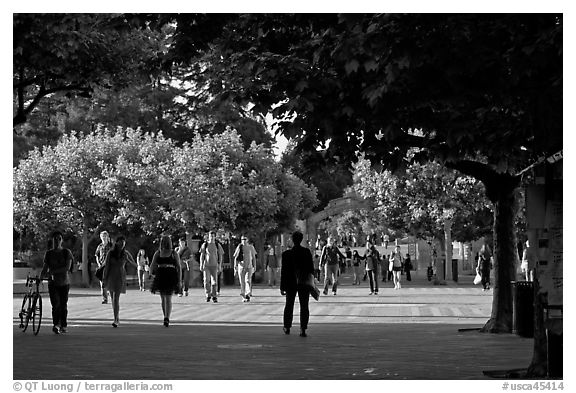 Students walking on Sproul Plazza. Berkeley, California, USA