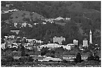 Buildings and hills in spring. Berkeley, California, USA ( black and white)