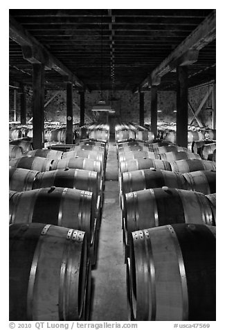 Wine aging in wooden barrels. Napa Valley, California, USA (black and white)
