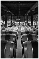Wine aging in wooden barrels. Napa Valley, California, USA ( black and white)