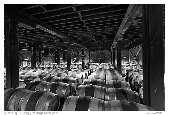 Barrels of wine in wine cellar. Napa Valley, California, USA