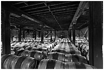 Barrels of wine in wine cellar. Napa Valley, California, USA (black and white)