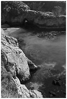 Emerald waters and kelp, China Cove. Point Lobos State Preserve, California, USA (black and white)
