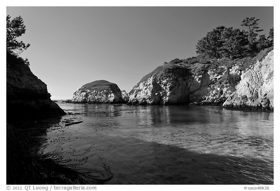 China Cove. Point Lobos State Preserve, California, USA (black and white)