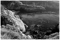 Rocks, water, and kelp, China Cove. Point Lobos State Preserve, California, USA ( black and white)