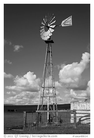 Windmill in pasture. California, USA (black and white)